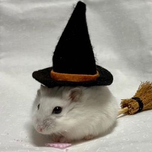 Meet your Posher, Alexandria